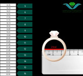 حلقه استیل ست کاپلی