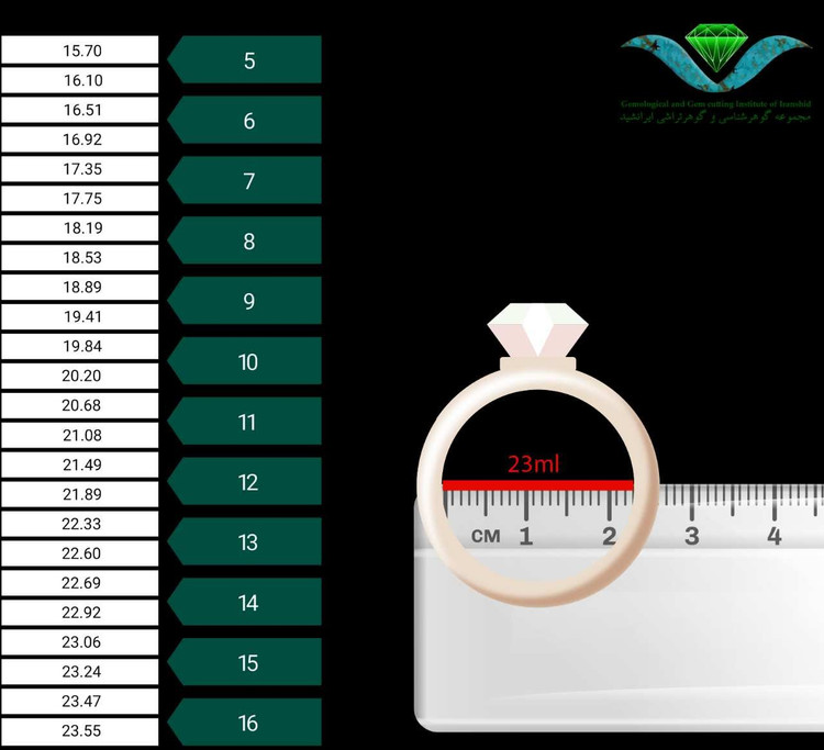 حلقه استیل ست کاپلی